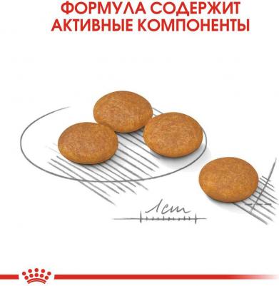 MINI DERMACOMFORT корм для собак с раздраженной и зудящей кожей – фото 7