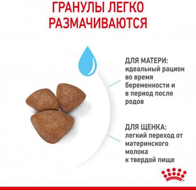 Mini Starter сухой корм для щенков в период отъема до 2 месяцев, беременных и кормящих сук – фото 9