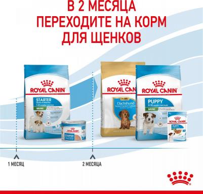 Mini Starter сухой корм для щенков в период отъема до 2 месяцев, беременных и кормящих сук – фото 14