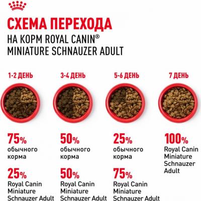 Miniature Schnauzer Adult для собак породы миниатюрный шнауцер – фото 6