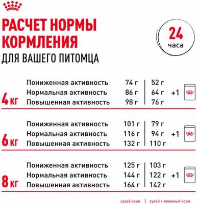 Miniature Schnauzer Adult для собак породы миниатюрный шнауцер – фото 8