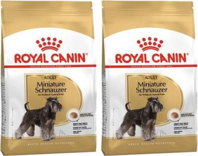 Miniature Schnauzer Adult для собак породы миниатюрный шнауцер – фото 9