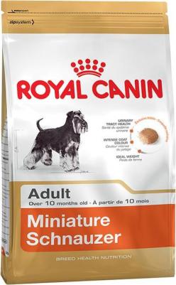 Miniature Schnauzer Adult для собак породы миниатюрный шнауцер – фото 10