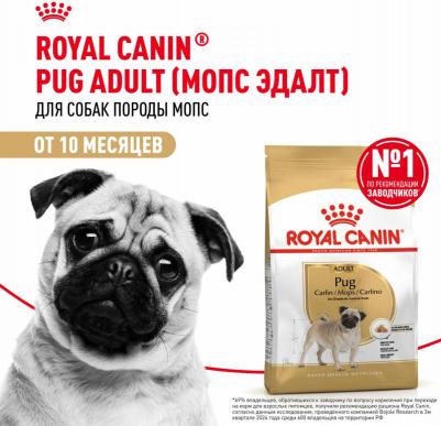 Pug Adult для взрослых собак породы мопс (Курица, 500 г.) – фото 9