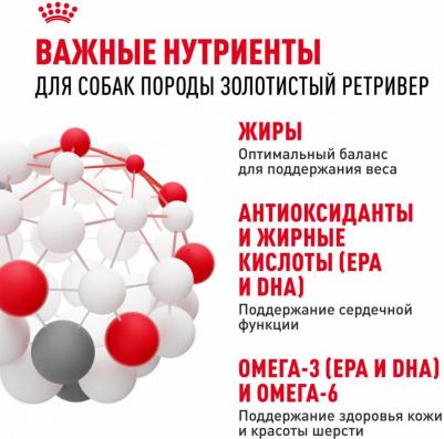 Сухой корм Adult Golden Retriever для собак от 15 месяцев породы Голден ретривер 12кг – фото 5