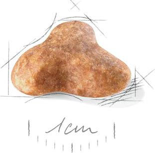 Сухой корм Adult Pug для собак от 10 месяцев породы Мопс 1,5кг – фото 8