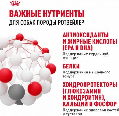 Сухой корм Adult Rottweiler для собак от 18 месяцев породы Ротвейлер 12кг – фото 5