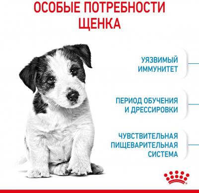 Сухой корм для щенков Mini Puppy 2 кг – фото 9