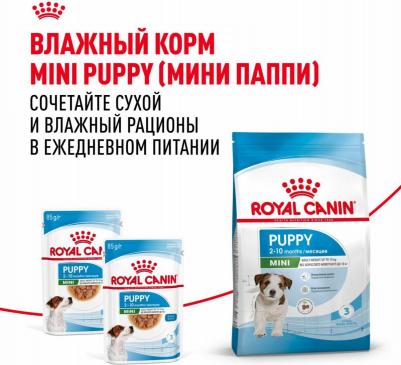 Сухой корм для щенков Mini Puppy 4 кг – фото 3