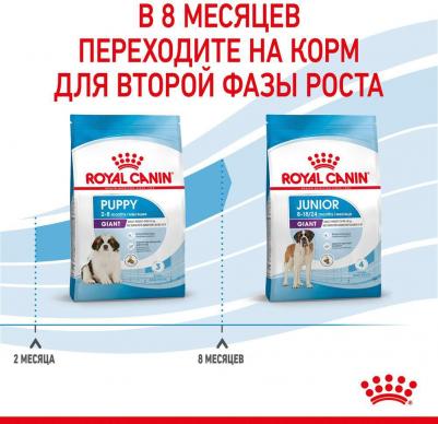 Сухой корм для щенков Puppy Giant, птица, 15кг – фото 13