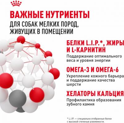 Сухой корм для собак Adult Indoor Life, рис, птица, 0.5кг – фото 1