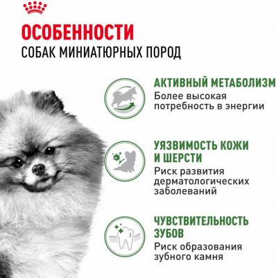 Сухой корм для собак Adult Indoor Life, рис, птица, 0.5кг – фото 5