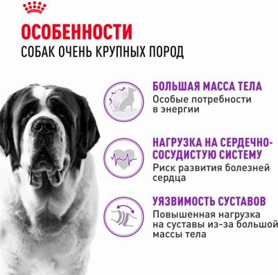 Сухой корм для собак гигантских пород старше 18/24 месяцев "Giant Adult MGА-28", 4 кг – фото 1