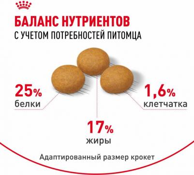 Сухой корм для собак крупных пород, склонных к кожным раздражениям и зуду "Maxi Dermacomfort", 10 кг – фото 11