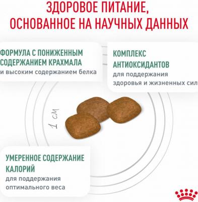 Сухой корм для собак при сахарном диабете "Diabetic DС 37", 12 кг – фото 14