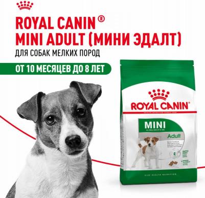 Сухой корм для собак Royal Caninс для малых пород с 10 месяцев до 8 лет, 4 кг