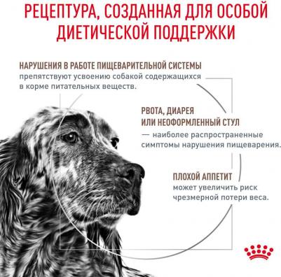 Сухой корм Gastro Intestinal GI25 Canine диета при нарушении пищеварения для собак 2кг – фото 11