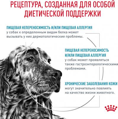 Сухой корм Hypoallergenic DR21 Canine диета при пищевой аллергии для собак 14кг – фото 17