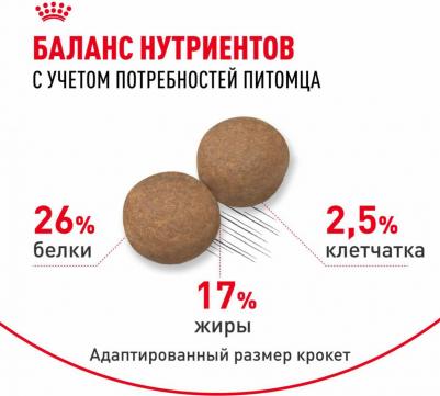 Сухой корм Maxi Adult 5+ для собак крупных пород старше 5 лет 4кг – фото 4