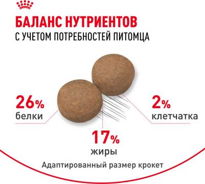 Сухой корм Maxi Adult для собак крупных пород 15кг (122150) – фото 15