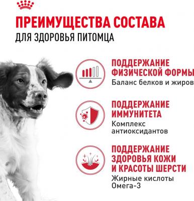 Сухой корм Medium Adult для собак средних пород 15кг (321150) – фото 12