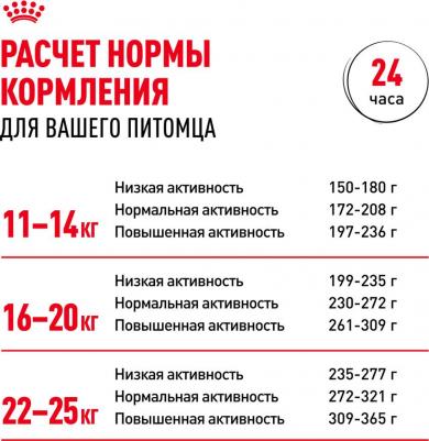 Сухой корм Medium Adult для собак средних пород 15кг (321150) – фото 17
