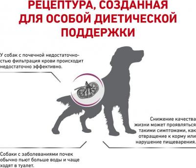 Сухой корм Renal Canine диета для собак 2 кг – фото 1
