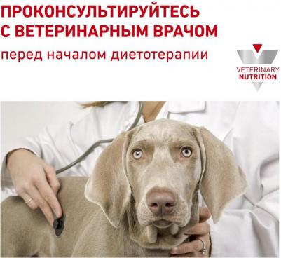 Сухой корм Renal Canine диета для собак 2 кг – фото 9
