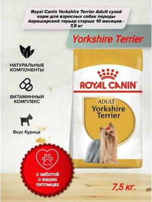 YORKSHIRE TERRIER ADULT корм для собак породы йоркширский терьер в возрасте от 10 месяцев – фото 5