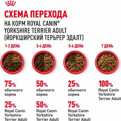YORKSHIRE TERRIER ADULT корм для собак породы йоркширский терьер в возрасте от 10 месяцев – фото 15