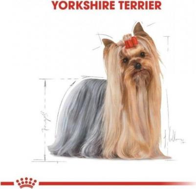 YORKSHIRE TERRIER ADULT корм для собак породы йоркширский терьер в возрасте от 10 месяцев – фото 19