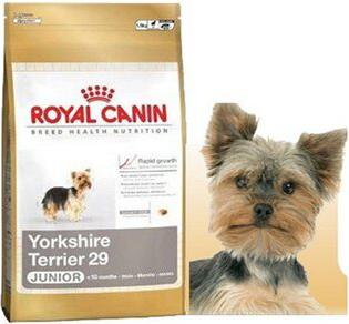 Yorkshire Terrier Junior корм для щенков породы йоркширский терьер 3182550743464 – фото 1