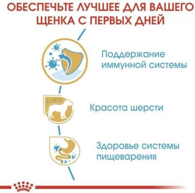 Yorkshire Terrier Junior корм для щенков породы йоркширский терьер – фото 16