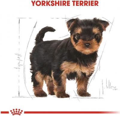 Yorkshire Terrier Junior корм для щенков породы йоркширский терьер – фото 17