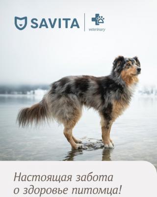 Собаки vet (вет. консервы) 4609997479569 – фото 5