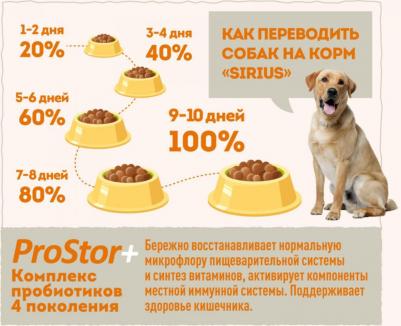 Сухой корм для собак малых пород Adult, говядина, 10кг – фото 13