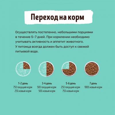 Сухой корм для собак ягнёнок, лосось и индейка, для крупных пород, 18 кг – фото 1