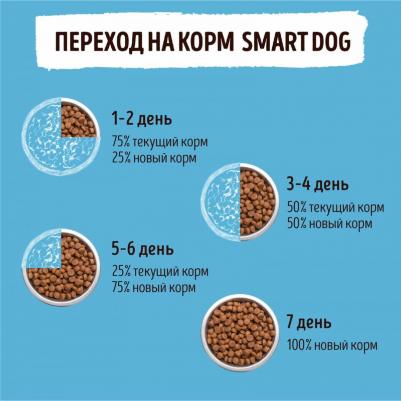 Сухой корм с лососем и рисом для взрослых собак 800 г – фото 2