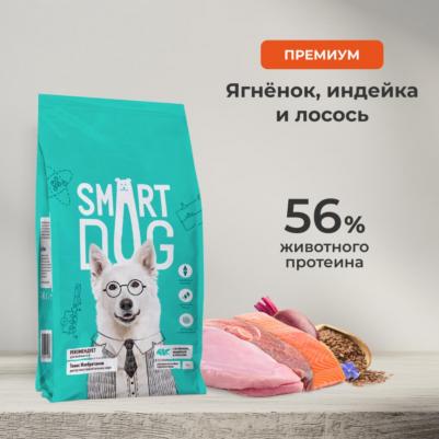 сухой корм сухой корм для взрослых собак крупных пород с ягненком, лососем и индейкой, ACTIVE, MAXI ADULT, Lamb, Salmon and Turkey