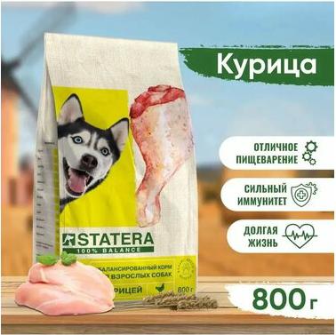 сухой корм для взрослых собак с курицей и рисом - 800 г повседневный премиум для взрослых с курицей для всех пород мешок Российский корм 1 уп. х 1 – фото 1