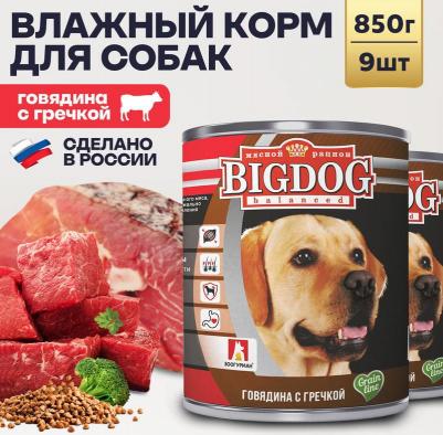Консервы BIG DOG Говядина с гречкойдля взрослых собак 850г – фото 2