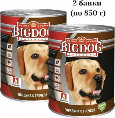 Консервы BIG DOG Говядина с гречкойдля взрослых собак 850г – фото 10