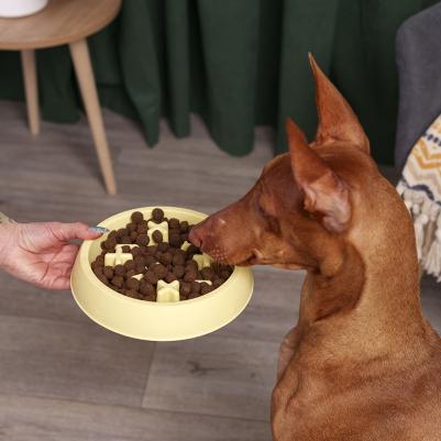 Миска для медленного кормления кошек и собак, 22х4 см, желтая – фото 1