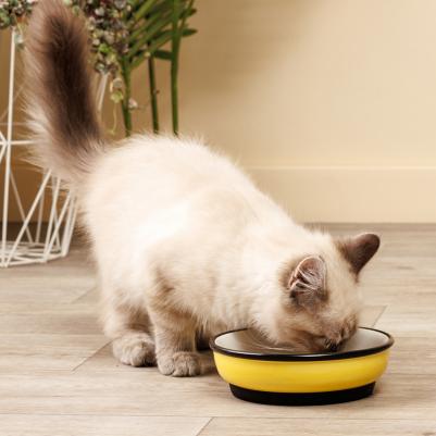 Миска керамическая с нескользящим дном для кошек Пчелы, 200 мл – фото 4