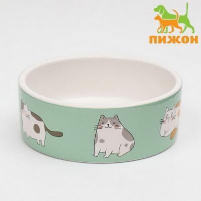 Миска керамическая "Котяры", 300 мл, 12,5 x 4,5 cм, бело-зелёная – фото 1