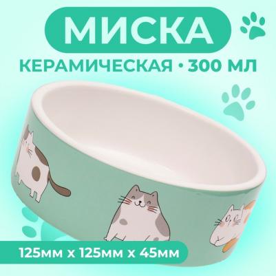 Миска керамическая "Котяры", 300 мл, 12,5 x 4,5 cм, бело-зелёная – фото 2