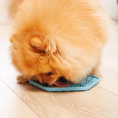 Миска для медленного поедания для собак, 18,5х15,5 см, голубая – фото 1