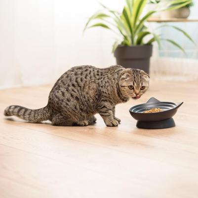 Миска керамическая для кошек Кошечка, 100 мл, 16,5х8,5 см, черная – фото 5