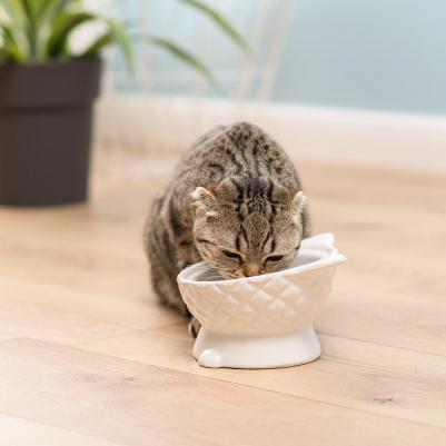 Миска керамическая для кошек Кошечка, 120 мл, 14,5х9,5 см, белая – фото 1