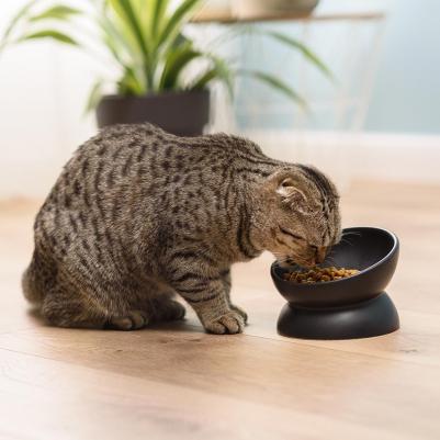 Миска круглая для кошек и собак, 150 мл, 13х9 см, черная матовая – фото 4